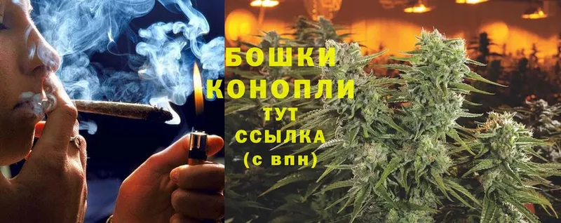 Бошки марихуана Ganja  Бакал 